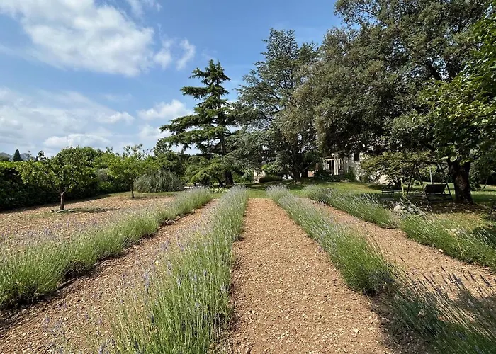 Villa De La Roque