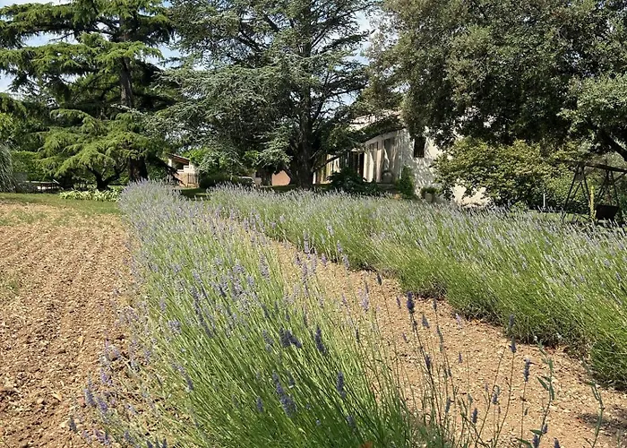 Villa De La Roque