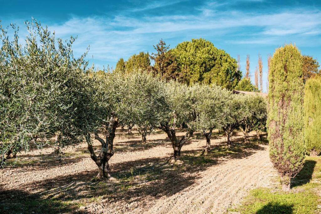 Holiday home De La Roque Eygalieres (Bouches-du-Rhone)